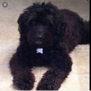 Meet your Posher, Leah